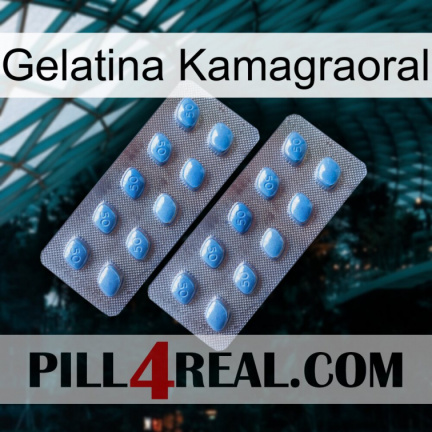 Kamagraoral Jelly viagra4